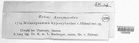 Melanopsamma hypoxyloides image